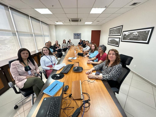 Grupo de Trabalho para implementação da Linguagem Simples no âmbito do TJRO realiza reunião de alinhamento junto à Corregedoria